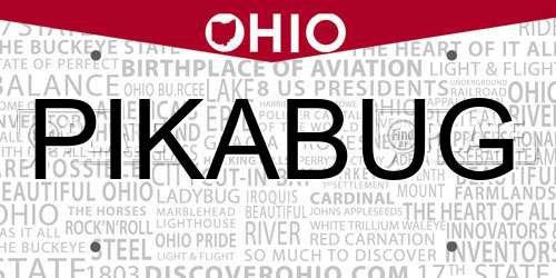 PIKABUG Ohio License Plate