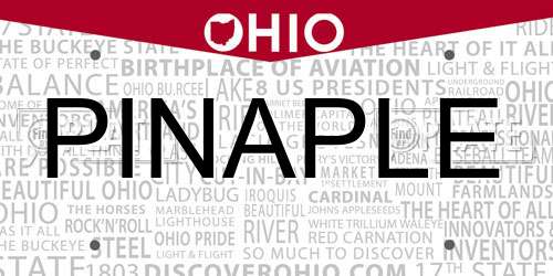 PINAPLE Ohio License Plate
