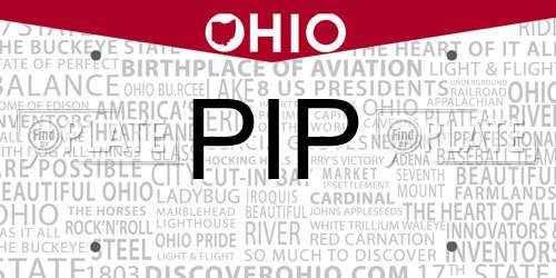 PIP Ohio License Plate