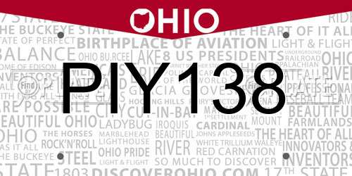 PIY138 Ohio License Plate