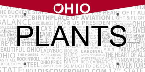 PLANTS Ohio License Plate