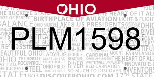 PLM1598 Ohio License Plate