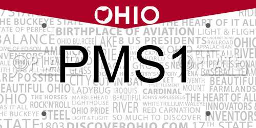 PMS1 Ohio License Plate