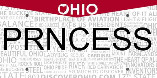 PRNCESS Ohio License Plate