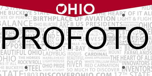 PROFOTO Ohio License Plate
