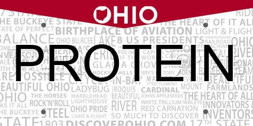 PROTEIN Ohio License Plate