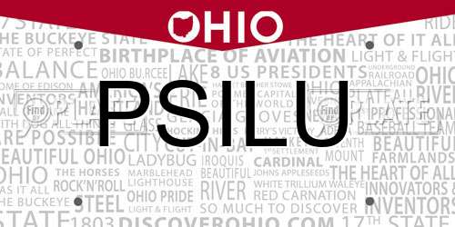 PSILU Ohio License Plate