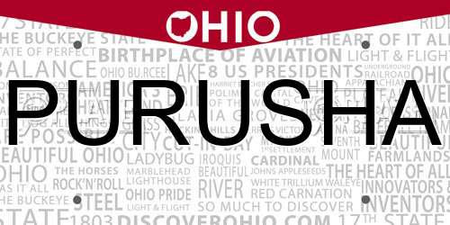 PURUSHA Ohio License Plate