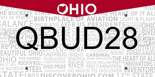 QBUD28 Ohio License Plate