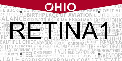 RETINA1 Ohio License Plate
