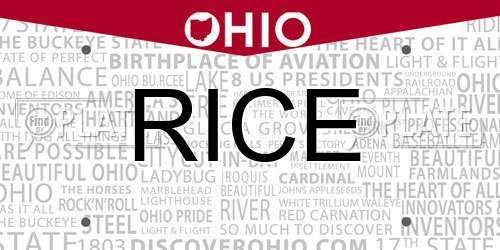 RICE Ohio License Plate