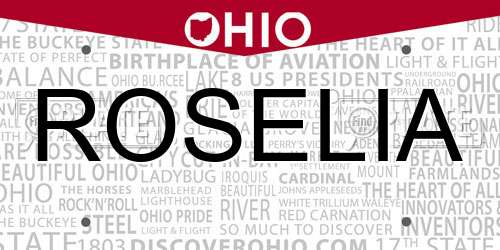 ROSELIA Ohio License Plate