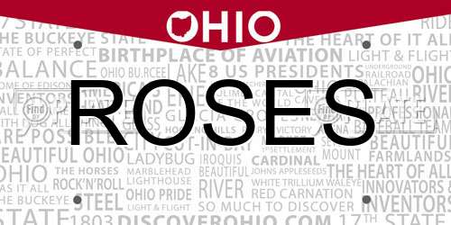 ROSES Ohio License Plate