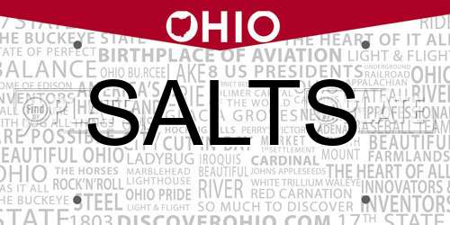 SALTS Ohio License Plate
