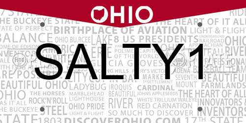 SALTY1 Ohio License Plate