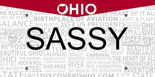 SASSY Ohio License Plate