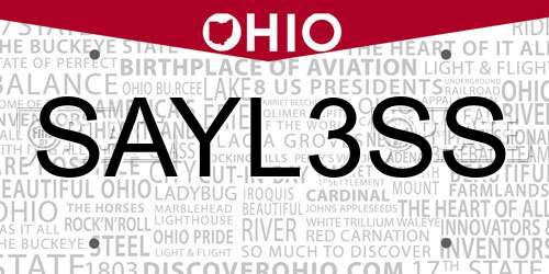 SAYL3SS Ohio License Plate