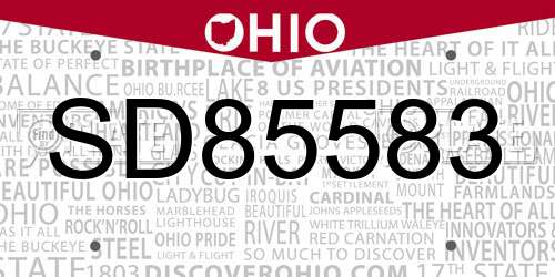 SD85583 Ohio License Plate