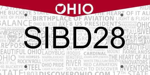 SIBD28 Ohio License Plate