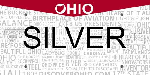 SILVER Ohio License Plate