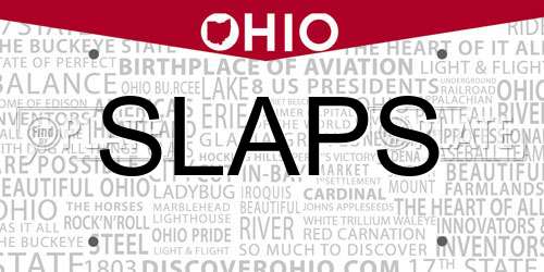 SLAPS Ohio License Plate