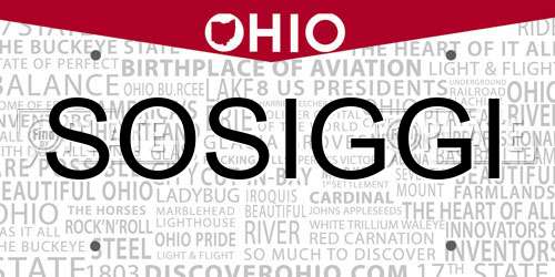 SOSIGGI Ohio License Plate