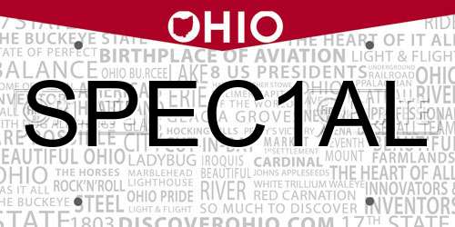 SPEC1AL Ohio License Plate