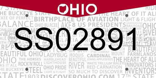 SS02891 Ohio License Plate