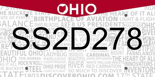 SS2D278 Ohio License Plate