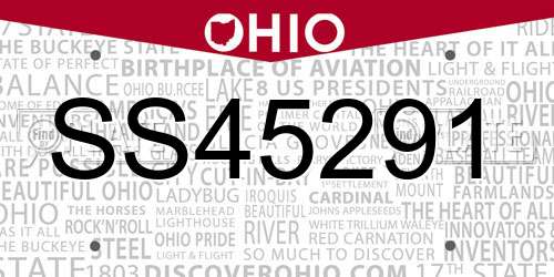 SS45291 Ohio License Plate