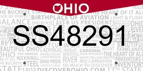SS48291 Ohio License Plate