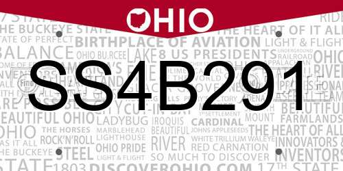 SS4B291 Ohio License Plate