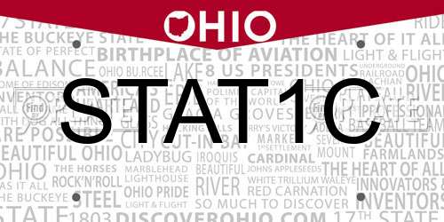 STAT1C Ohio License Plate