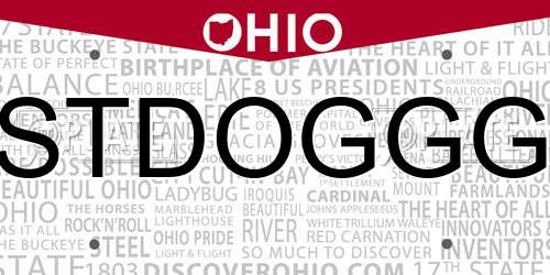 STDOGGG Ohio License Plate