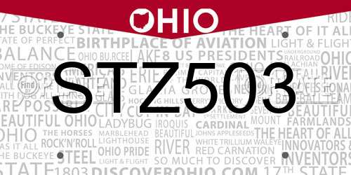 STZ503 Ohio License Plate