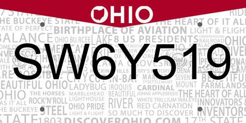 SW6Y519 Ohio License Plate