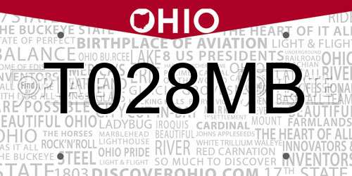 T028MB Ohio License Plate