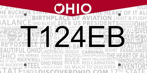 T124EB Ohio License Plate