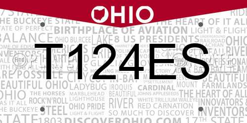 T124ES Ohio License Plate