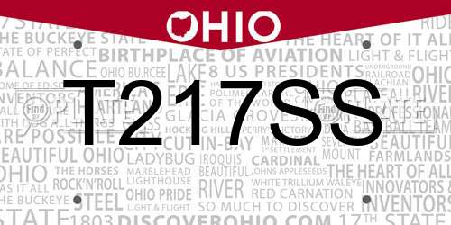 T217SS Ohio License Plate