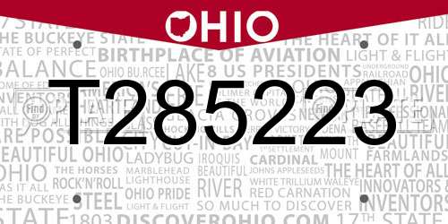 T285223 Ohio License Plate