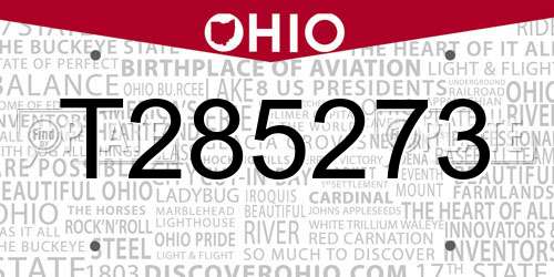 T285273 Ohio License Plate