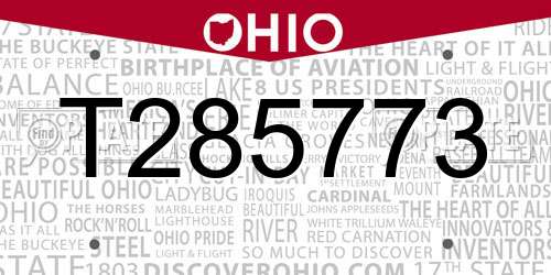 T285773 Ohio License Plate
