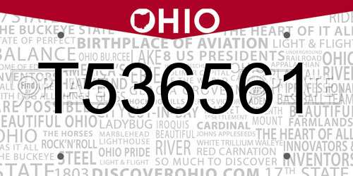 T536561 Ohio License Plate
