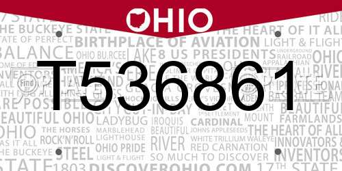 T536861 Ohio License Plate