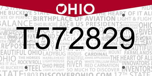 T572829 Ohio License Plate