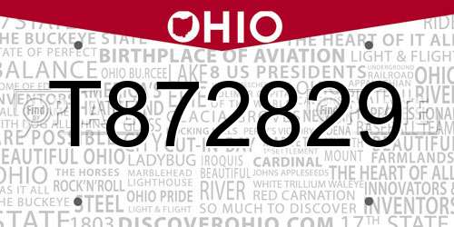 T872829 Ohio License Plate