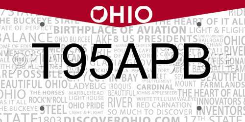 T95APB Ohio License Plate