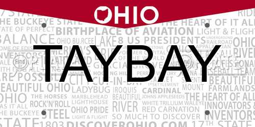 TAYBAY Ohio License Plate