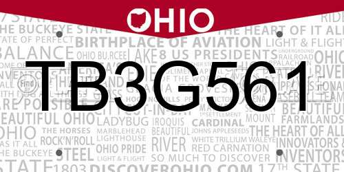 TB3G561 Ohio License Plate